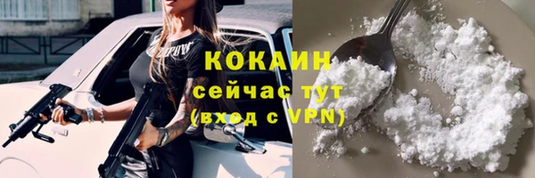 дживик Баксан