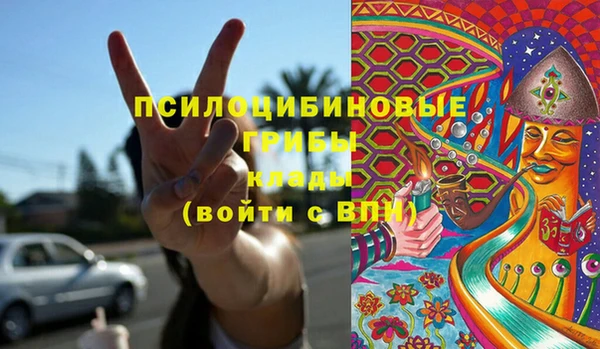 дживик Баксан