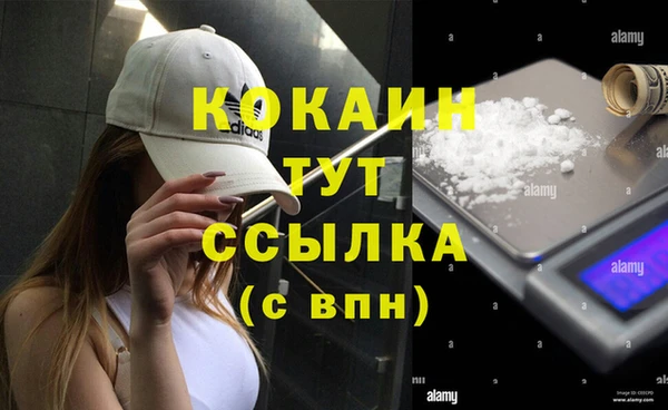 дживик Аркадак