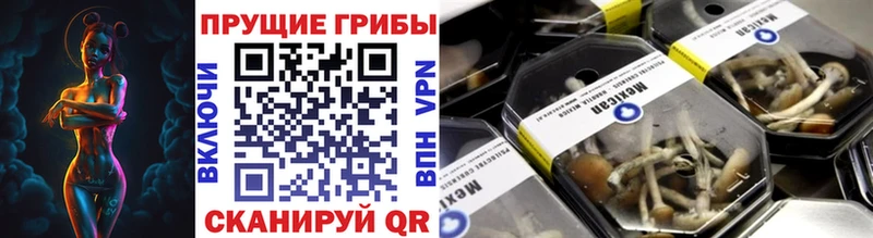 Галлюциногенные грибы GOLDEN TEACHER Белая Холуница