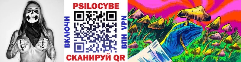 Галлюциногенные грибы Cubensis  наркотики  Белая Холуница 